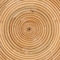 Baxton Studio 15.7 W, 15.7 L, 17.7 H, Polished Natural Rattan, Natural Brown 211-12748-ZORO - alternate 7